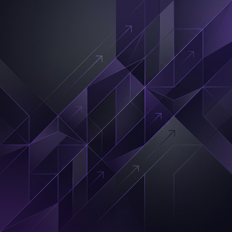 DSV Consulting Background