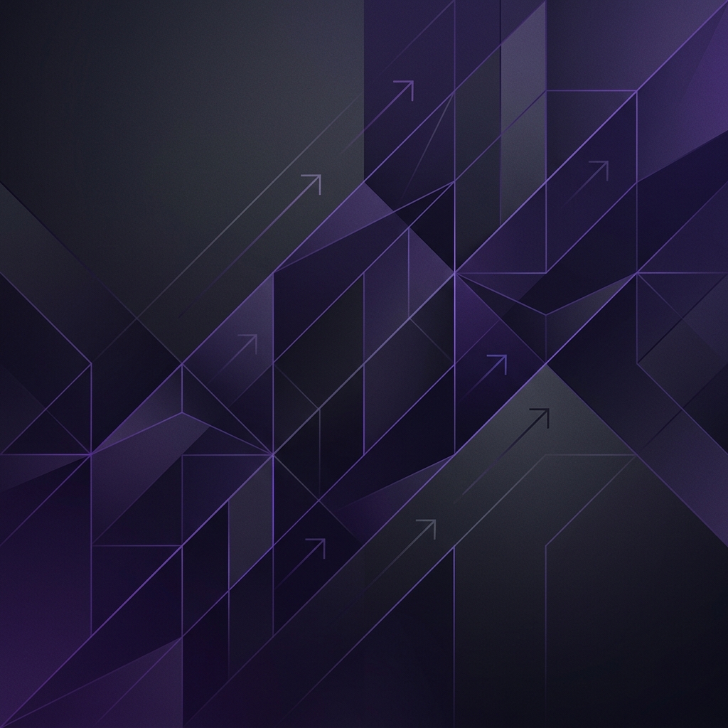 DSV Consulting Background