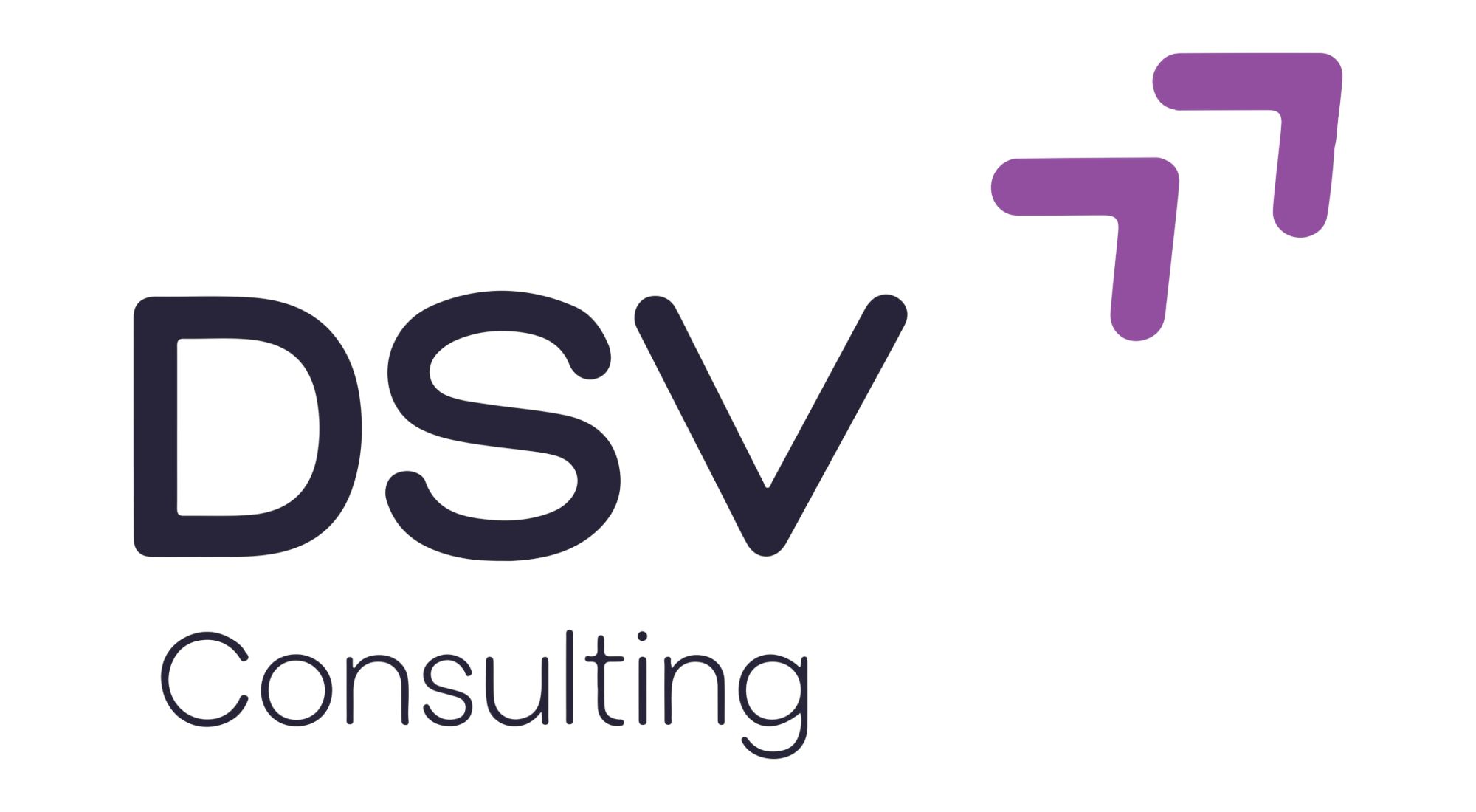 DSV Consulting Logo